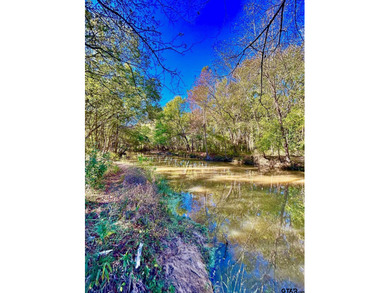 Water's Edge Ranch is a 2,150 acre gated community surrounding a - photo 4
