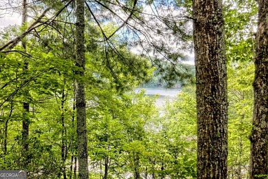 Nestled in the coveted Waterfall at Lake Burton community, this - photo 30