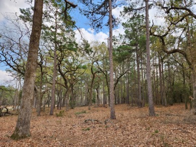 Build Your Dream Home in Legacy Shores on Lake Palestine - photo 8