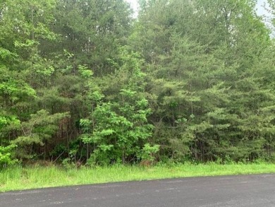 Lake Lot For Sale in Madisonville, Kentucky