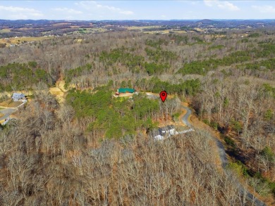 1.75 Acres Near Douglas Lake SOLD - photo 15