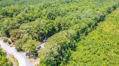 Discover the potential of this 1.03-acre property located at 297 - photo 3