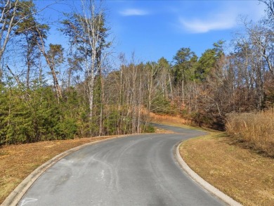 1.75 Acres Near Douglas Lake SOLD - photo 5