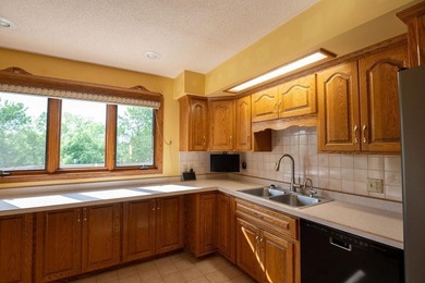 This ranch style home with a walkout basement and an extra-large - photo 18