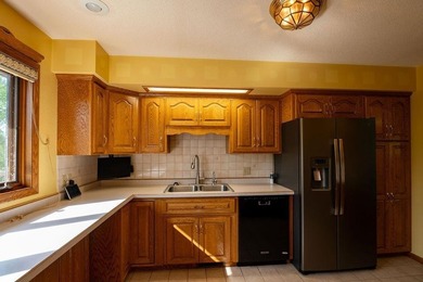 This ranch style home with a walkout basement and an extra-large - photo 19