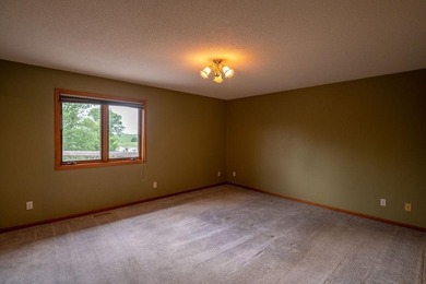 This ranch style home with a walkout basement and an extra-large - photo 24