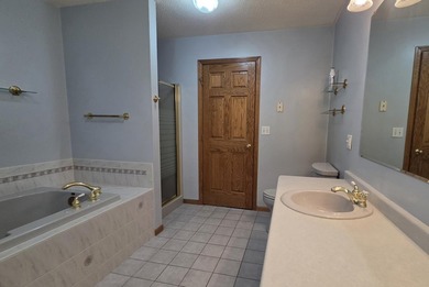 This ranch style home with a walkout basement and an extra-large - photo 26