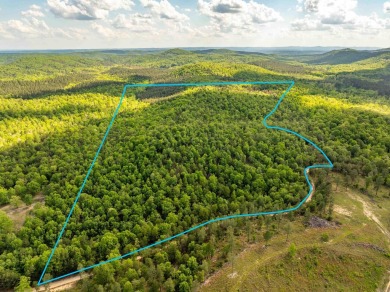 Lake Acreage For Sale in Hot Springs, Arkansas