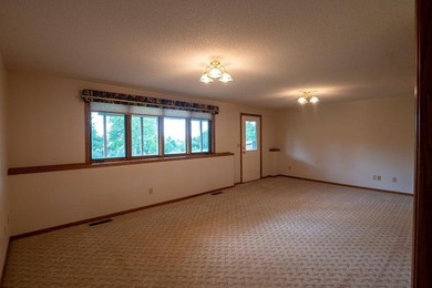 This ranch style home with a walkout basement and an extra-large - photo 33