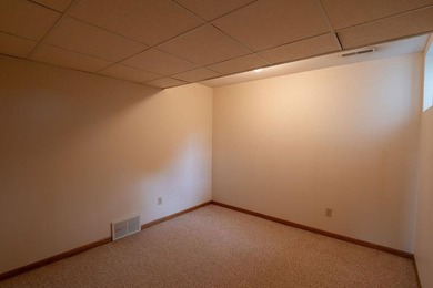 This ranch style home with a walkout basement and an extra-large - photo 35