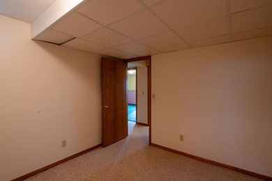 This ranch style home with a walkout basement and an extra-large - photo 36