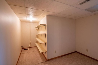 This ranch style home with a walkout basement and an extra-large - photo 37