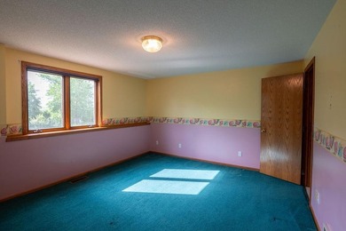 This ranch style home with a walkout basement and an extra-large - photo 38