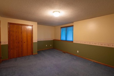 This ranch style home with a walkout basement and an extra-large - photo 40