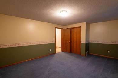 This ranch style home with a walkout basement and an extra-large - photo 41