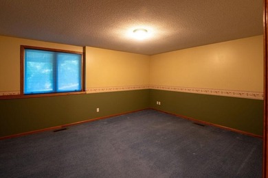 This ranch style home with a walkout basement and an extra-large - photo 42