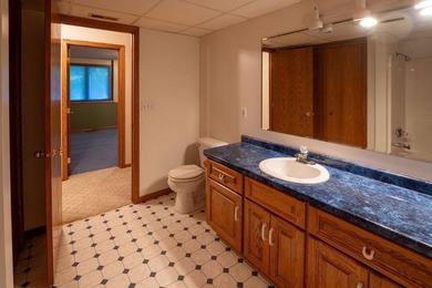 This ranch style home with a walkout basement and an extra-large - photo 44