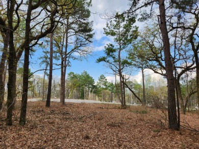 Build Your Dream Home in Legacy Shores on Lake Palestine - photo 9