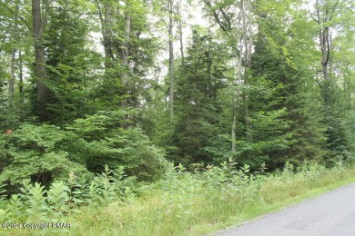 Pocono Lake Acreage For Sale in Pocono Lake Pennsylvania