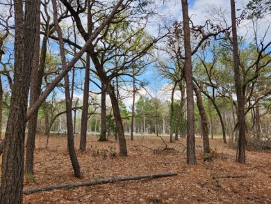 Build Your Dream Home in Legacy Shores on Lake Palestine - photo 11