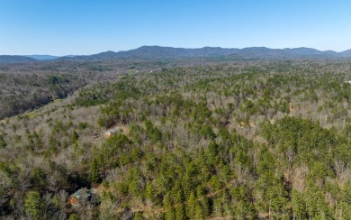 Lake Acreage For Sale in Ellijay, Georgia