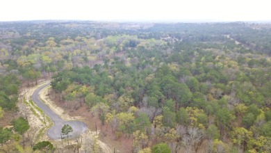 Build Your Dream Home in Legacy Shores on Lake Palestine - photo 14