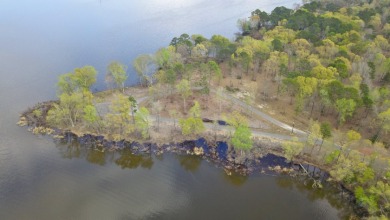 Build Your Dream Home in Legacy Shores on Lake Palestine - photo 21