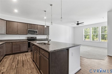 Luxury Davenport townhome in Palisades Cove at Magnolia Green - photo 9