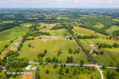 Horse farms of this size and setup are hard to find. Situated on - photo 2