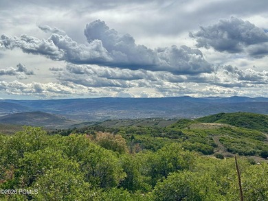 An exceptional opportunity to secure a premier homesite within - photo 13