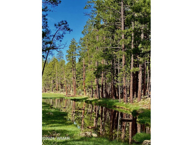 1.06 Acre Meadow Lot With Spectacular Views Of Lakes, Fountain - photo 14