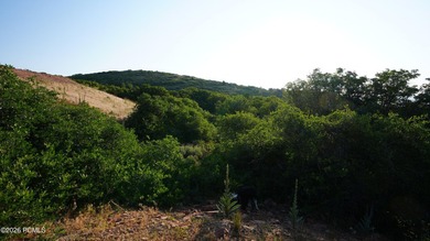 An exceptional opportunity to secure a premier homesite within - photo 16