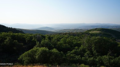An exceptional opportunity to secure a premier homesite within - photo 17