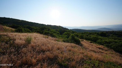 An exceptional opportunity to secure a premier homesite within - photo 20