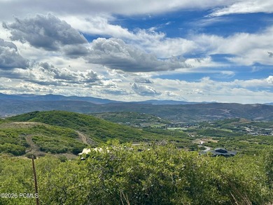 An exceptional opportunity to secure a premier homesite within - photo 22