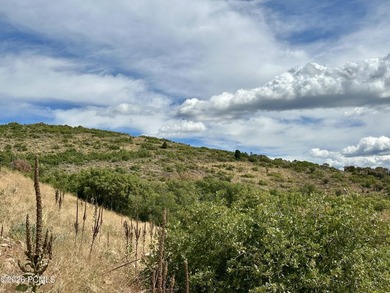 An exceptional opportunity to secure a premier homesite within - photo 23