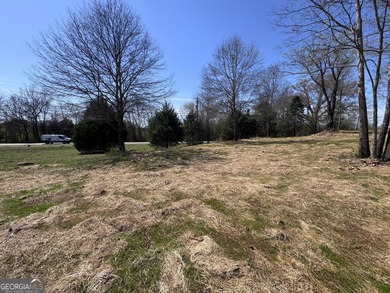 Beautiful 1-acre residential building lot located in the - photo 7