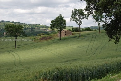 Exclusive 182-hectare estate near Assisi, featuring Palazzo - photo 8