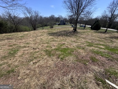 Beautiful 1-acre residential building lot located in the - photo 10