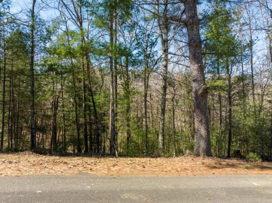 Lake Lot For Sale in Ellijay, Georgia