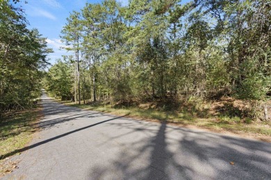 Lake Lot For Sale in Townville, South Carolina