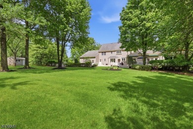 Positioned at the end of a quiet cul-de-sac this custom colonial - photo 42