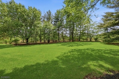 Positioned at the end of a quiet cul-de-sac this custom colonial - photo 43