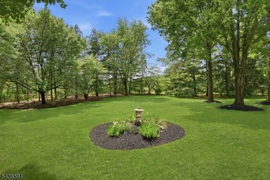 Positioned at the end of a quiet cul-de-sac this custom colonial - photo 44