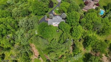 Positioned at the end of a quiet cul-de-sac this custom colonial - photo 46