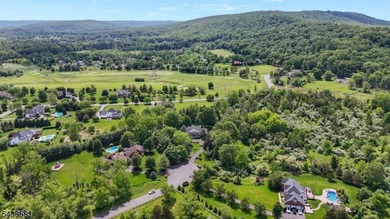 Positioned at the end of a quiet cul-de-sac this custom colonial - photo 47