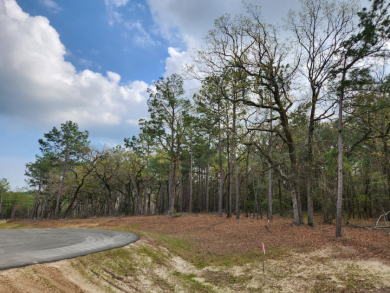 Build Your Dream Home in Legacy Shores on Lake Palestine - photo 3