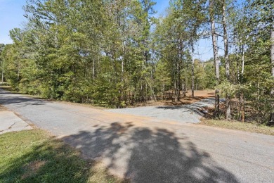 Lake Lot For Sale in Townville, South Carolina