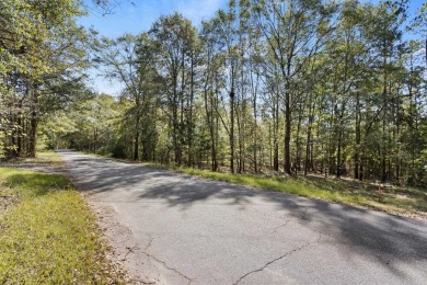 Lake Lot For Sale in Townville, South Carolina