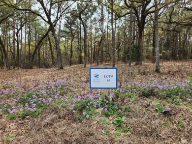 Build Your Dream Home in Legacy Shores on Lake Palestine - photo 6